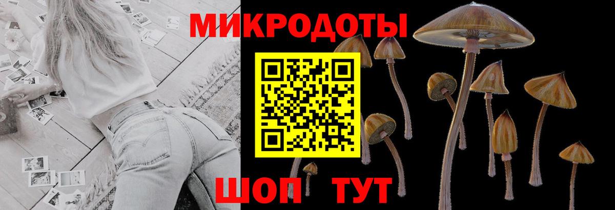 Карпинск  где продают наркотики  Вход с VPN  Псилоцибиновые грибы GOLDEN TEACHER 
